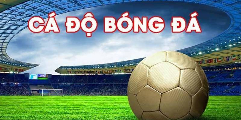 Chơi cá cược thể thao bongvip